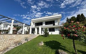 Apartmán Lípa Mikulov